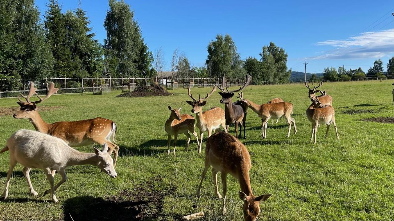 Farma Frantisek Otel Stachy Dış mekan fotoğraf