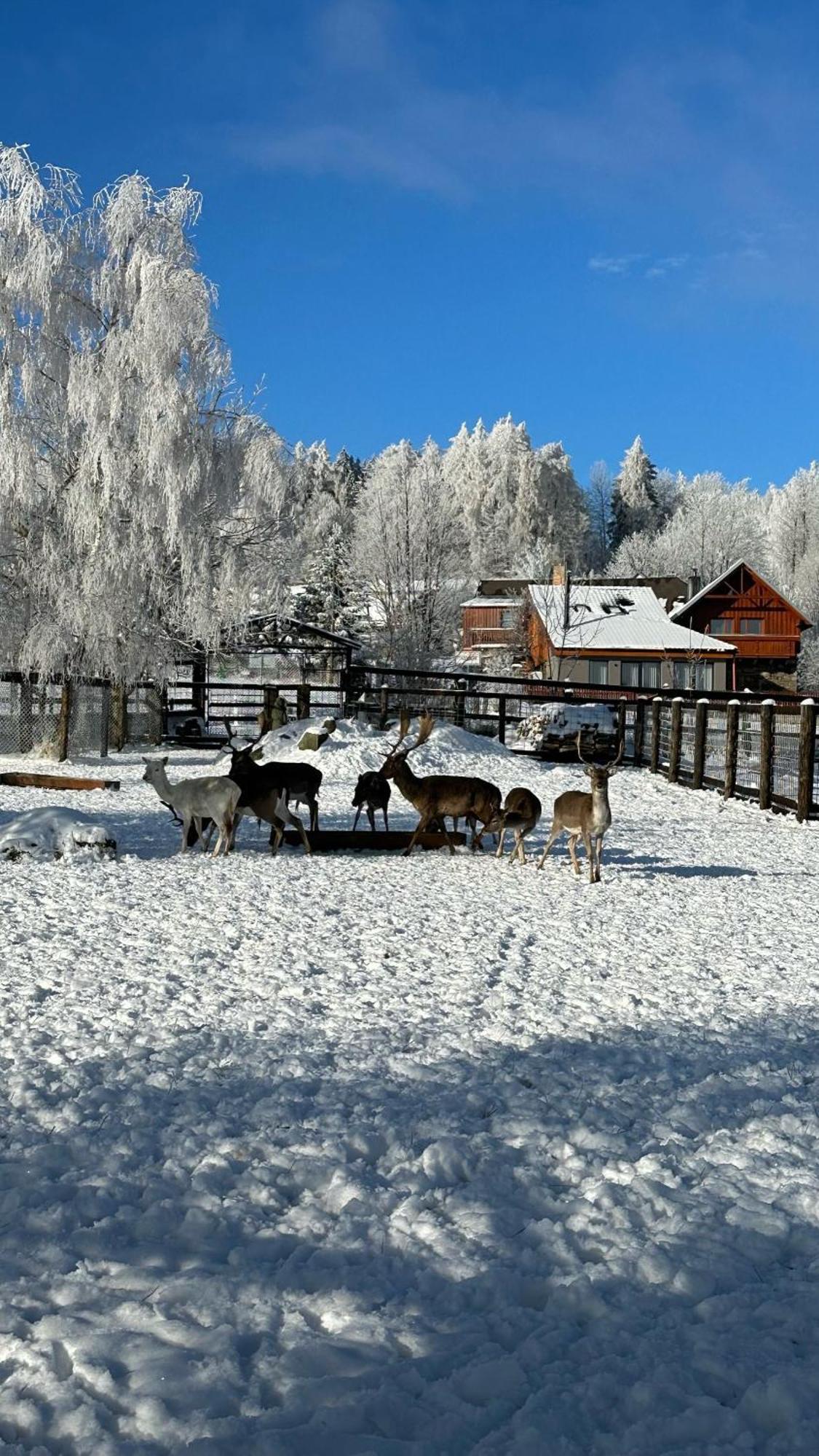 Farma Frantisek Otel Stachy Dış mekan fotoğraf